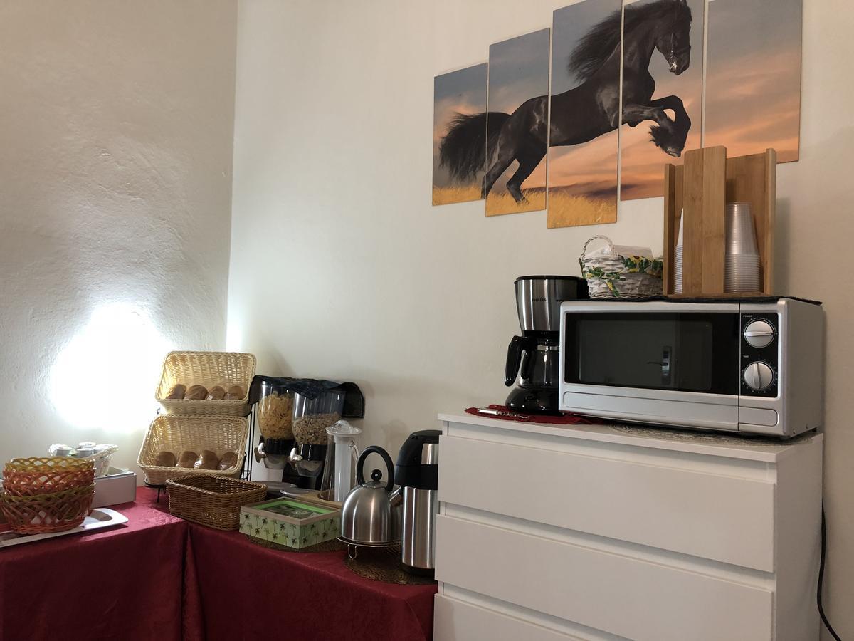 ピサ Aliante Turist House Bed & Breakfast エクステリア 写真